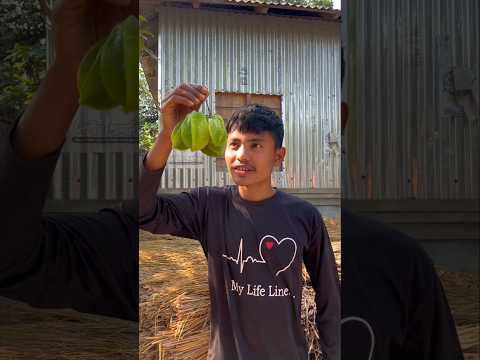আজকে বন্ধু কামরাঙ্গা মাখা এভাবে খাবে কখনো ভাবেনি🫑#minivlog #mini