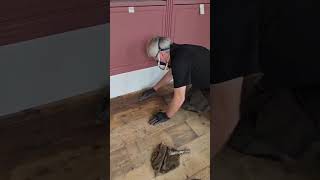 Bringing New Life to a Reclaimed Scots Pine Floor