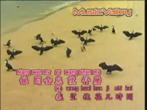 魏漢文  – 雨不洒花花不紅 【Original Karaoke】