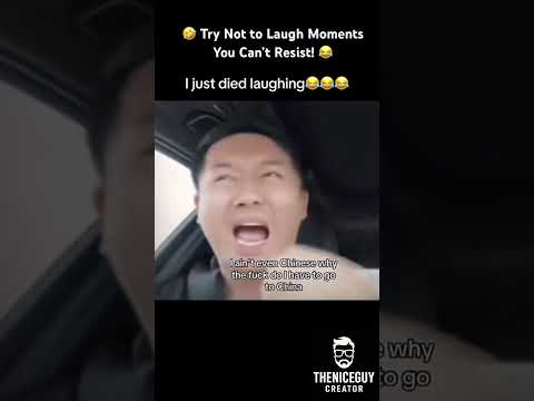 Scene 349- 🤣 Try Not to Laugh Moments You Can’t Resist! 😂