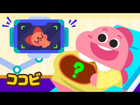 ママ、お腹の中には何がいるの？👩‍🦱👶 しりたいな｜子供向けの童謡｜ココビ