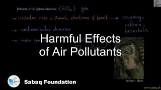 Harmful Effects of Air Pollutants