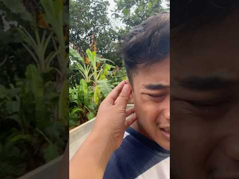 ketahuan maling#videoshort