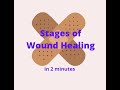 Wound Healing Phases and Processes