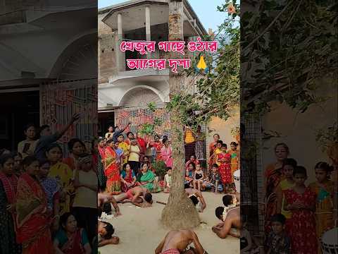খেজুর ভাঙার আগে 🔥🙏