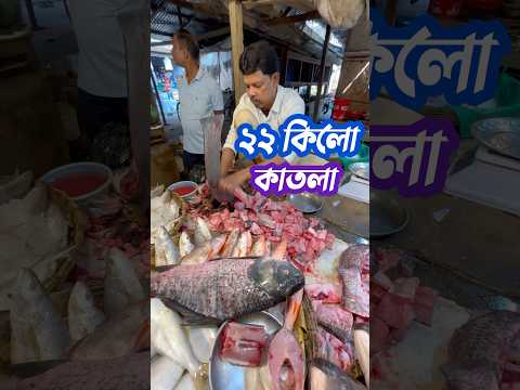 ২২ কিলো কাটলা #short #fishcutting #viralvideo #ytshorts