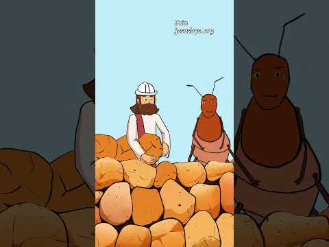 Jesus Builds with Termites ๐โจ Bread from Earth #jesusbys #jbys