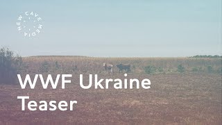 WWF Ukraine Teaser