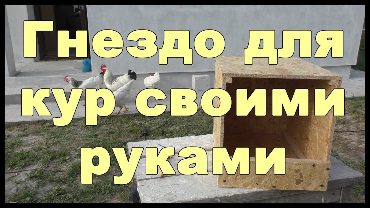 Гнездо для кур своими руками