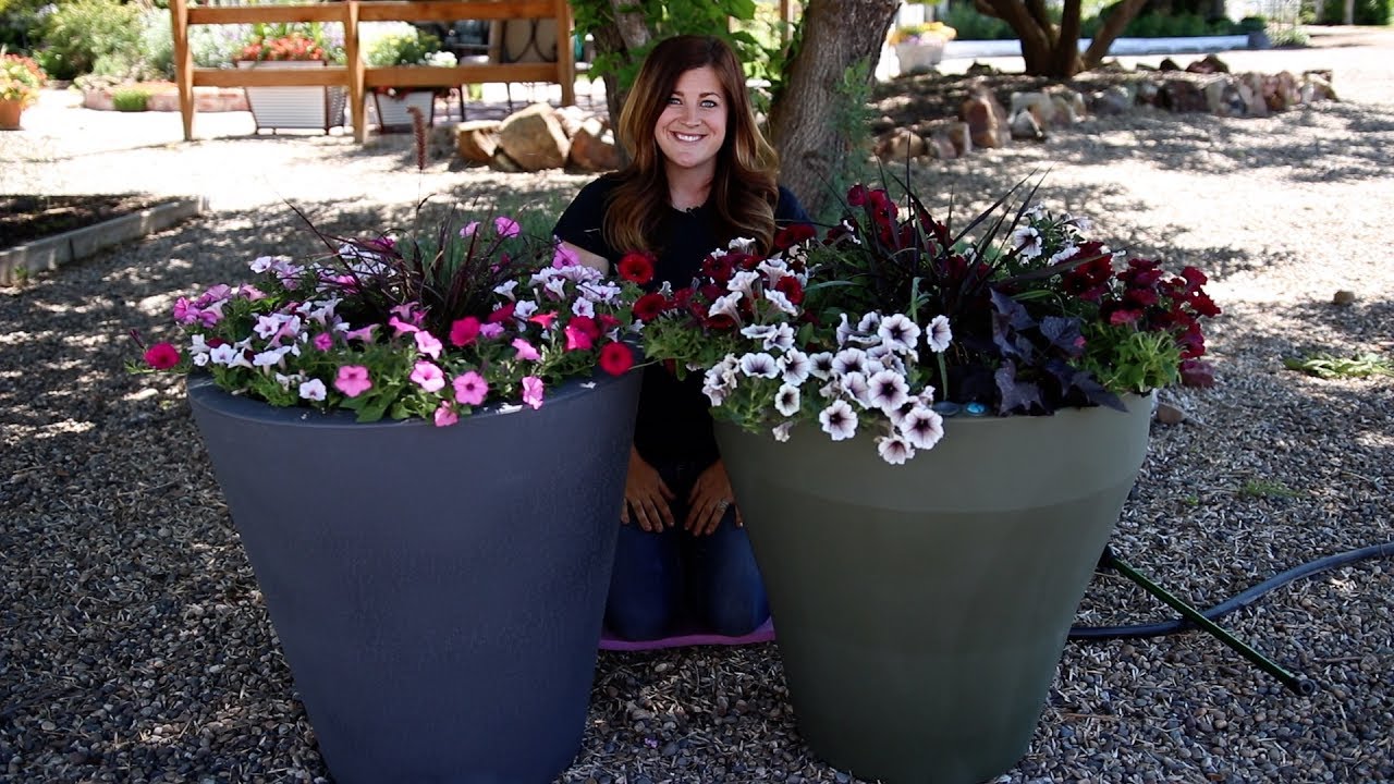 TruDrop Self Watering Containers!