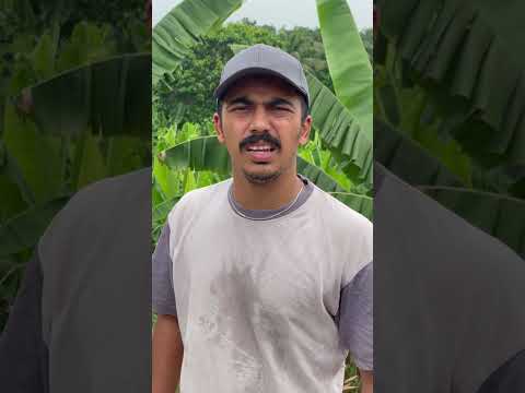 ഒരു അപകടം #youtubeshorts #comedy