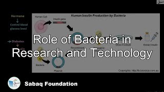 Role of Bacteria in Research and Technology