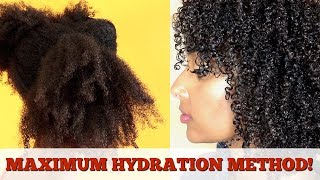 Does The Max Hydration Method Work On Type 3 Hair Videos Kansas