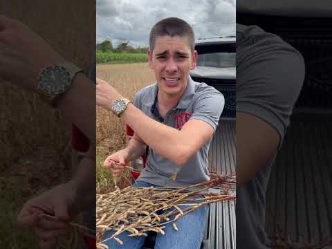Começa com como 🤣🤣🤣 #agro #humor #primosagro #soja #pablomarçal #agronomia #agronomo #comedia