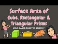 Surface Area and Volume Concepts