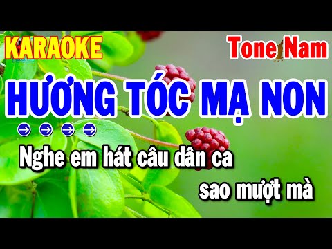 Karaoke Hương Tóc Mạ Non Tone Nam ( Em ) Cha Cha Hay 2025 | Thanh Hải