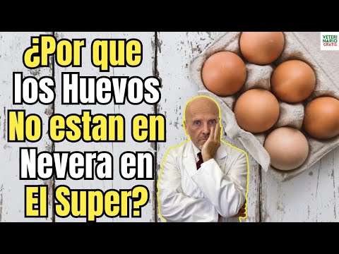 😱 ¿DONDE GUARDAR LOS HUEVOS? ¿EN LA NEVERA O FUERA A TEMPERATURA AMBIENTE?😱