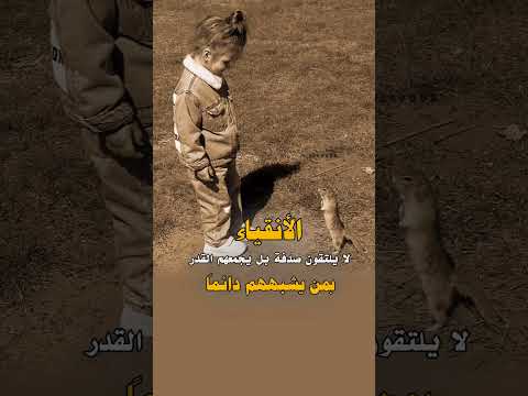 الأنقياء لا يلتقون صدفة بل يجمعهم القدر بمن يشبههم دائماً 🥰#عبارات #حالات #حالات_واتساب #foryou #fyp