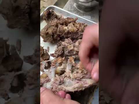 How to make venison scrapple!