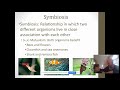 Ecological Relationships and Interactions