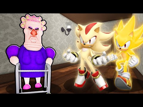 SUPER SONIC AND SUPER SHADOW VS GRUMPY GRAN IN ROBLOX