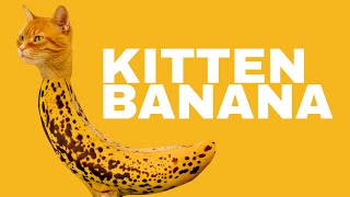 KITTEN BANANA Ep.2