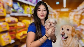 MOSTRANDO O DIA DA JADE - nova cachorrinha