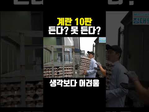 생각보다 들기 힘들다는 계란 10판