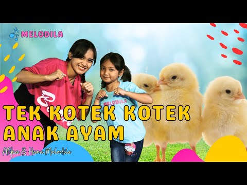 🔴 LAGU TEK KOTEK KOTEK ANAK AYAM - Lagu Anak Anak | Lagu Anak Indonesia Afika Salma & Hana Melodila