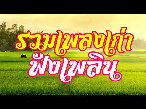 รวมเพลงเก่า ฟังเพลิน