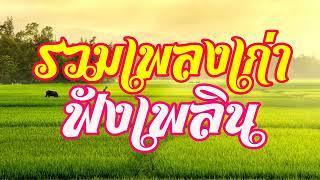 รวมเพลงเก่า ฟังเพลิน