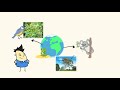 Environmental Impact and Animal Adaptations