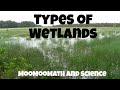 Understanding Wetlands