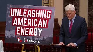Bill Cassidy: Louisiana's Conservative Energy Champion