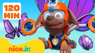 PAW Patrol Bug Rescues & Adventures! #2 🦋 2 Hours | Nick Jr.