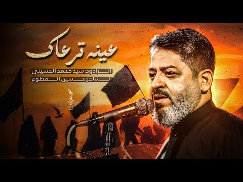 || عينه ترعاك || الرادود سيد محمد الحسيني