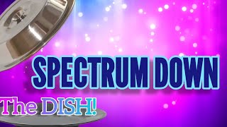 Disney's Tragic Kingdom of Walled Disney World - The DISH!