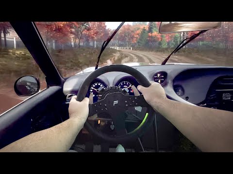 POV VOZNJA U DIRT RALLY 2.0 na NOVOM SIM RACING SETUPU!