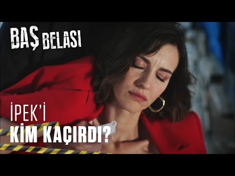 Şahin Şebekenin Peşini Bırakmıyor! - Baş Belası