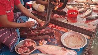 Pangash Fish Cutting at Morning Village Market | Dh Bangla Media