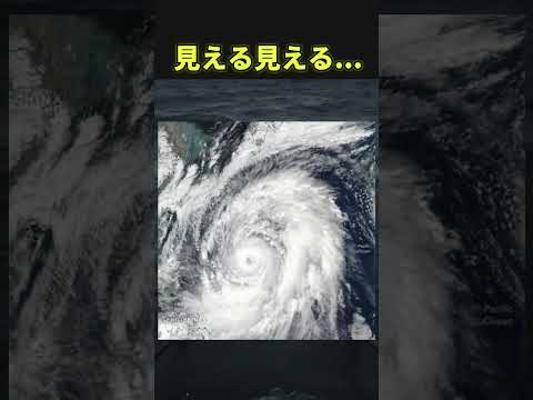 ファッ!?見えてしまった人は末期#twitter #shorts