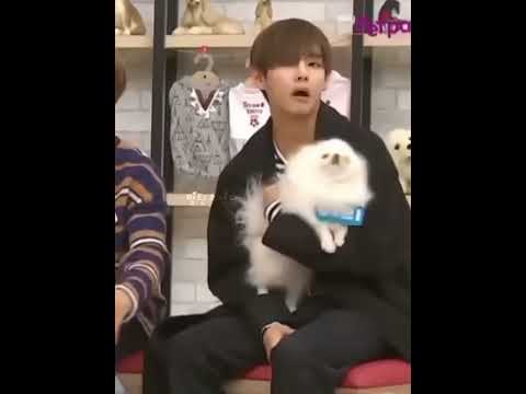 Tae tesing puppy 🐶
