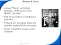 DNA Structure and Function Concepts