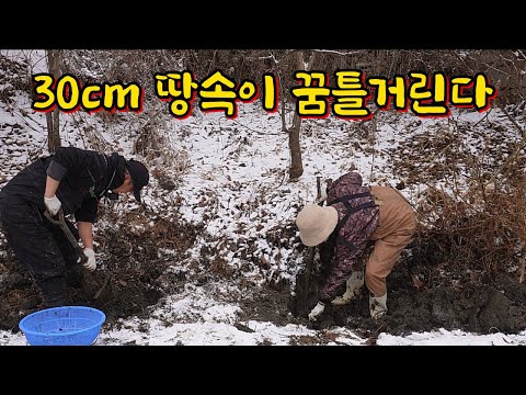 물 한 방울 없는 곳에 이렇게 많을 수가...!! 정말 신기합니다!!