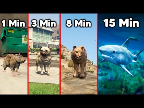 GTA 5 Pero Cada Minuto Me Transformo en un Animal Diferente 🐶 Grand Theft Auto V