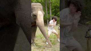 i went 1v1 with an elephant ??