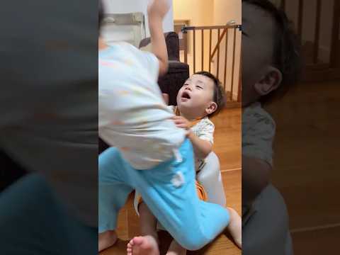 3歳と1歳のやりとりが面白かわいい