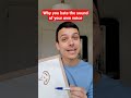 Understanding Voice Perception