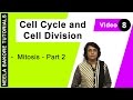 Chromosome Movement and Structure