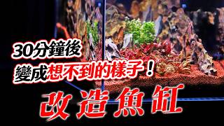 普通魚缸→變成異想天開設計 只差這一步 feat. 冰凍郎 @bingdonglangJD 七龍珠 DRAGON BALL ドラゴンボール